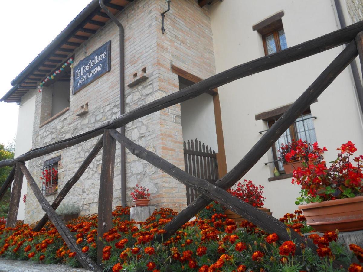 Agriturismo Le Castellare Montemonaco Ngoại thất bức ảnh
