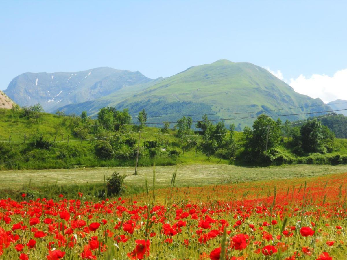 Agriturismo Le Castellare Montemonaco Ngoại thất bức ảnh