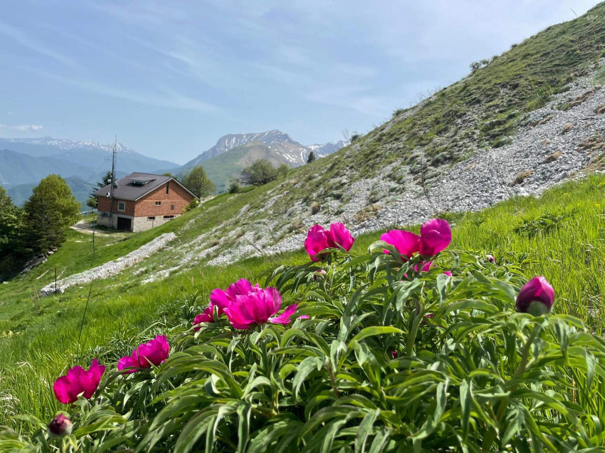 Agriturismo Le Castellare Montemonaco Ngoại thất bức ảnh