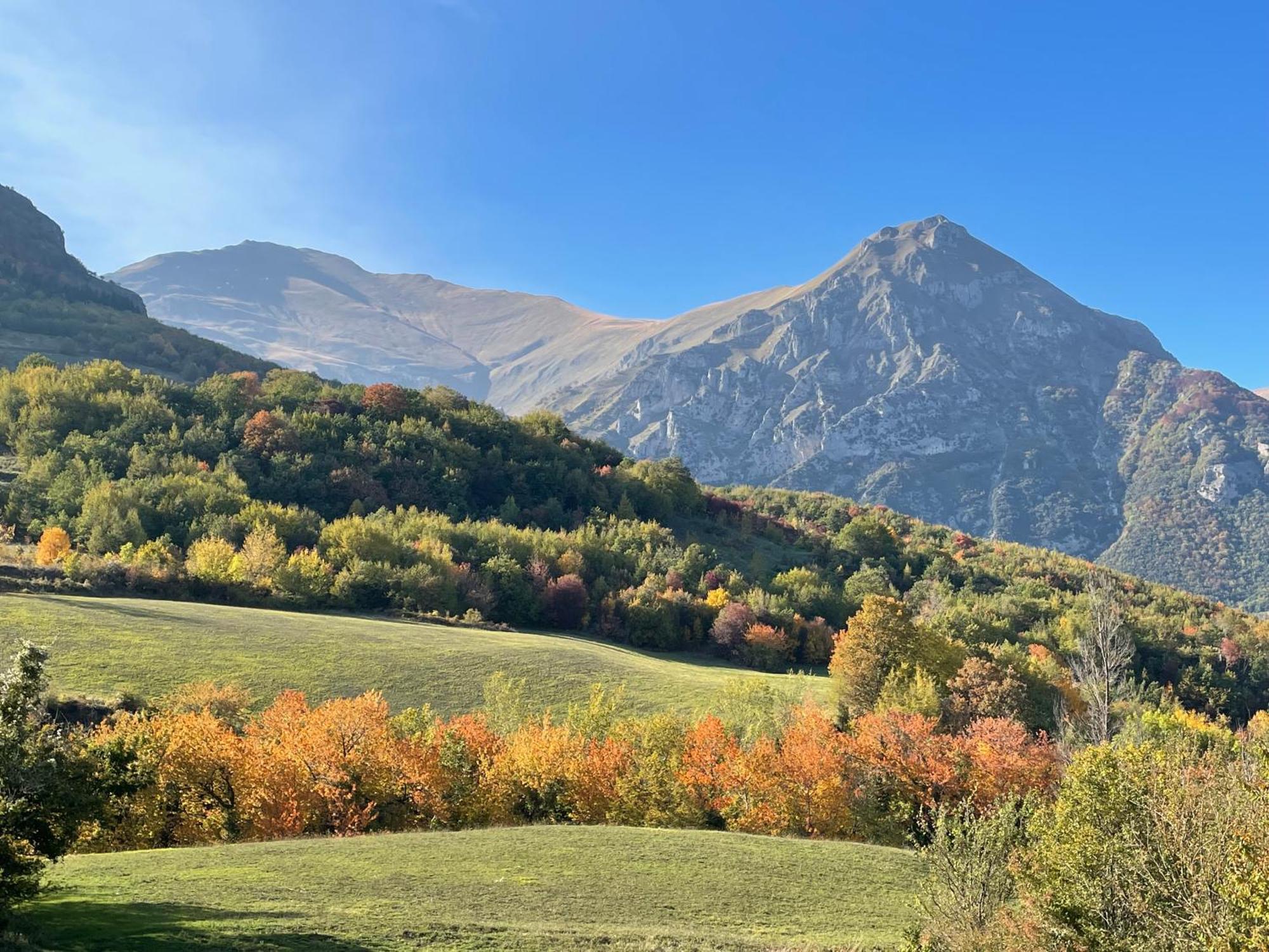 Agriturismo Le Castellare Montemonaco Ngoại thất bức ảnh